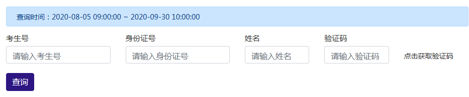 上海电力大学录取查询入口